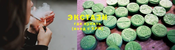 гидра Ессентукская
