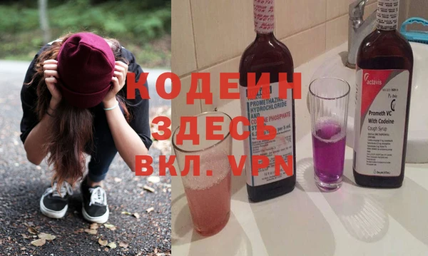 индика Новосибирск
