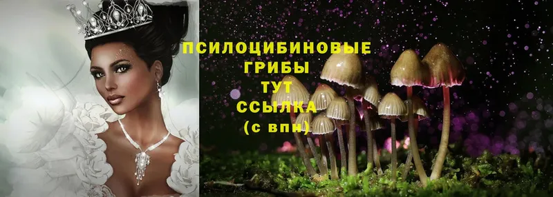 Галлюциногенные грибы MAGIC MUSHROOMS  Орехово-Зуево 