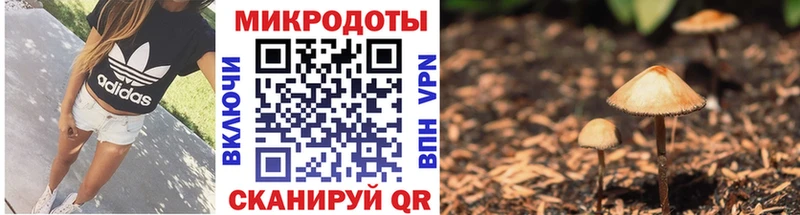 мега зеркало  дарнет шоп  Орехово-Зуево  Галлюциногенные грибы Psilocybe 